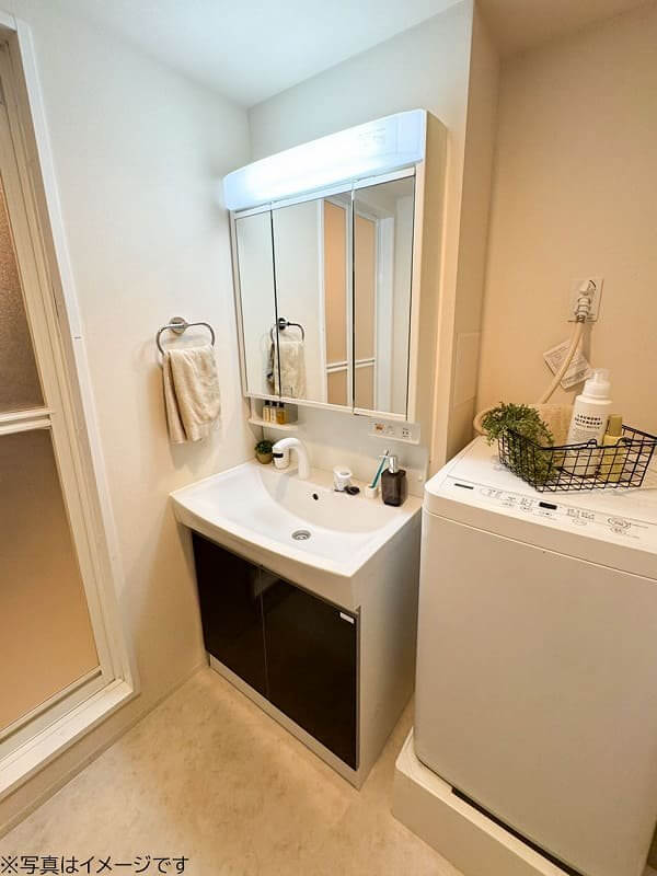 ユニオンマンスリー新富町LuxuryⅠ 101 画像11