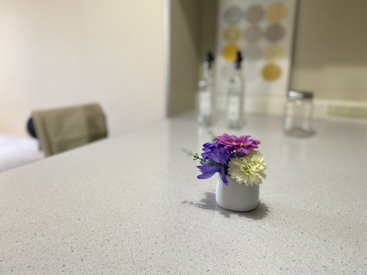 コンシェル御茶ノ水２ 画像11