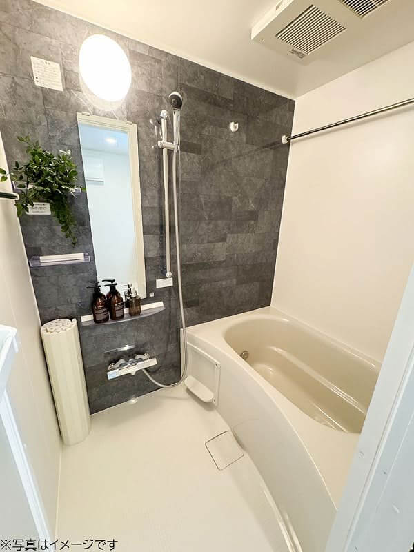 ユニオンマンスリー新富町LuxuryⅠ 101 画像6