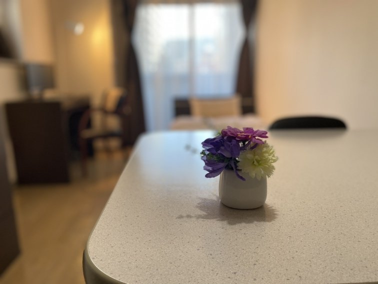 コンシェル御茶ノ水２ 画像4