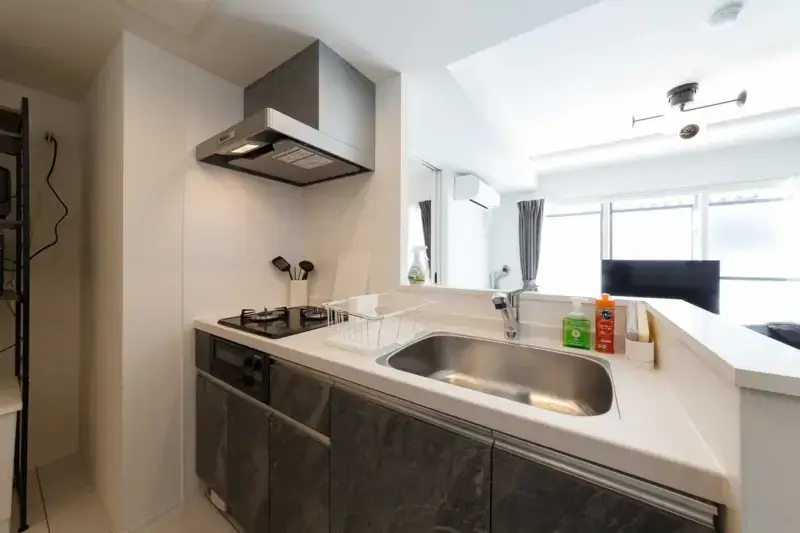 RESIDENCE N8 1階A・1LDK 画像8 RESIDENCE N8 1階A・1LDK 画像8