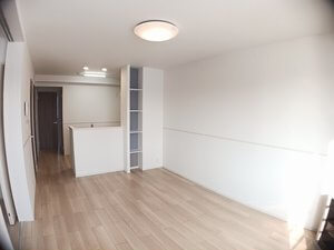 ラピス・ラズリⅡ 202・洋室 画像1