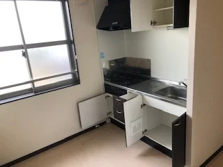 レオネクストＨＡＹＡＳＨＩ 104 画像5