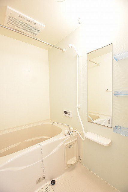 シェーネ・プラシードⅡ 201・洋室 画像3 シェーネ・プラシードⅡ 201・洋室 画像3