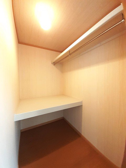 ソレアードカーサⅡ 203・洋室 画像2