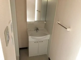 レオネクストＨＡＹＡＳＨＩ 104 画像3