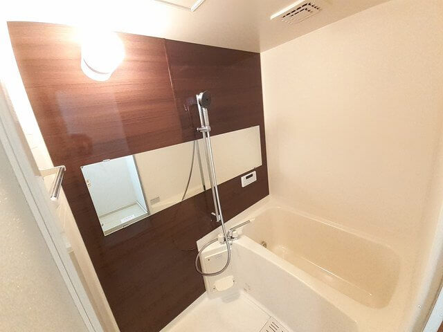 ヒルシュハウスＢ 102・洋室 画像3