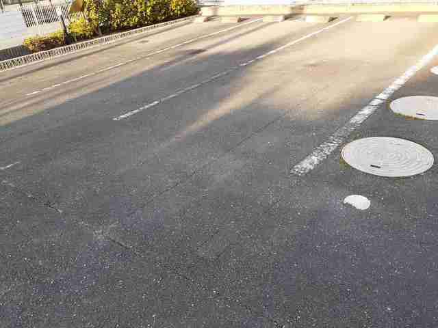 ラベンダー105 画像14 ラベンダー105 画像14